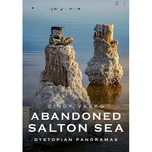 Abandoned Salton Sea: Dystopian Panoramas