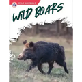 Wild Boars
