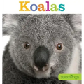 Seedlings: Koalas