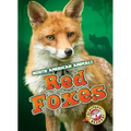 Red Foxes