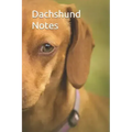 Dachshund Notes