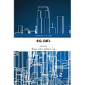 Big Data
