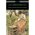 Our Nig: or, Sketches from the Life of a Free Black