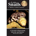 Land Snails of Belize, Central America: A Remarkable Chronicle of Diversity and Function