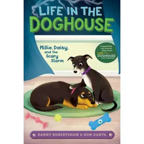 Millie, Daisy, and the Scary Storm