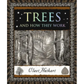 Trees and How They Work