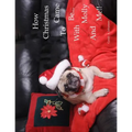 How Christmas Came To Be-With Molly And Me!!
