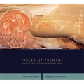 Traces of Fremont: Society and Rock Art in Ancient Utah