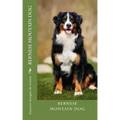 bernese moutain dog