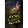 The Boy in the Labyrinth: Poems