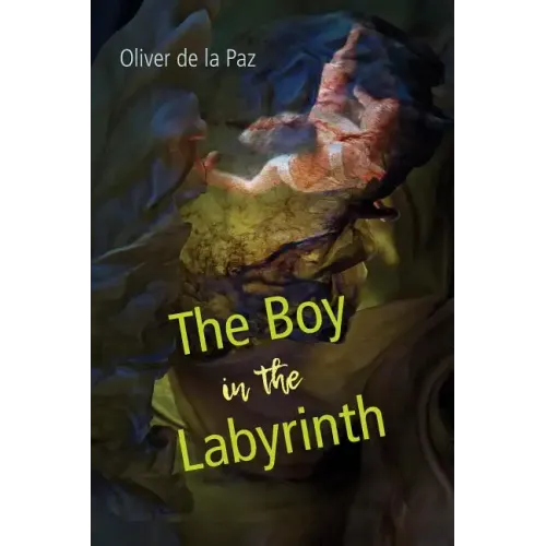 The Boy in the Labyrinth: Poems