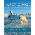 Arctic Fox: Life at the Top of the World