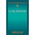 Abingdon New Testament Commentaries: Colossians