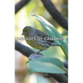 Diseases of Canaries