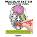 Muscular System Coloring Book