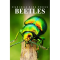 Beetles - Curious Kids Press: Kids book about animals and wildlife, Children's books 4-6