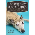 The Dog Stays in the Picture: How My Rescued Greyhound Helped Me Cope with My Empty Nest