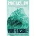 Indefensible: Book 2 of the Kate Lange Thriller Series