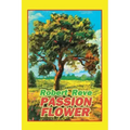 Passion Flower