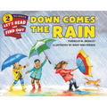 Down Comes the Rain