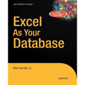 Excel as Your Database