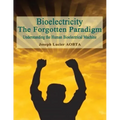 Bioelectricity - The Forgotten Paradigm: Understanding the Human Bioelectrical Machine