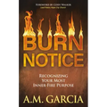 Burn Notice: Recognizing Your Most Inner-Fire Purpose