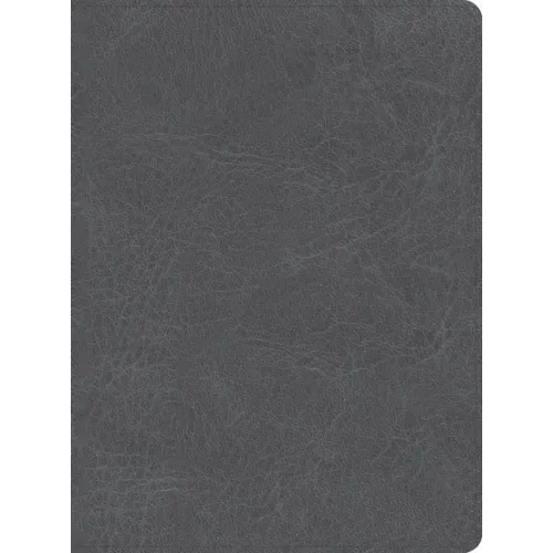 CSB He Reads Truth Bible, Smoke Leathertouch, Indexed