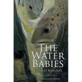 The Water Babies: Illustrated
