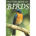 Picture Book of Birds: For Seniors with Dementia [Colorful Picture Books]