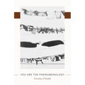 You Are the Phenomenology