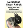 Netherland Dwarf Rabbit. Netherland Dwarf Rabbits as pets. Netherland Dwarf Rabbit book including pros and cons, care, housing, cost, diet and health.