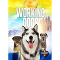 Working Dogs