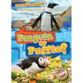 Penguin or Puffin?