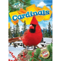 Cardinals