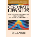 Corporate Lifecycles
