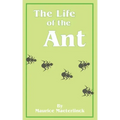 The Life of the Ant