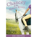 Chancey: Horses of the Maury River Stables