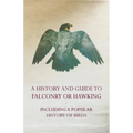 A History and Guide to Falconry or Hawking - Including a Popular History of Birds