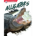 Alligators