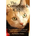 The Comeback Cat: Cleo's incredible journey through feline diabetes to remission