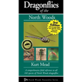 Dragonflies of the North Woods
