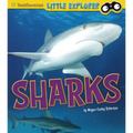 Sharks