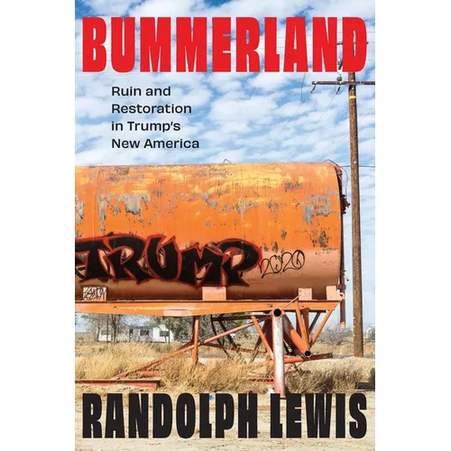 Bummerland: Ruin and Restoration in Trump's New America