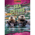 Sea Otters in Their Ecosystems