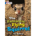 The Fantastic Flying Squirrel: Band 04/Blue