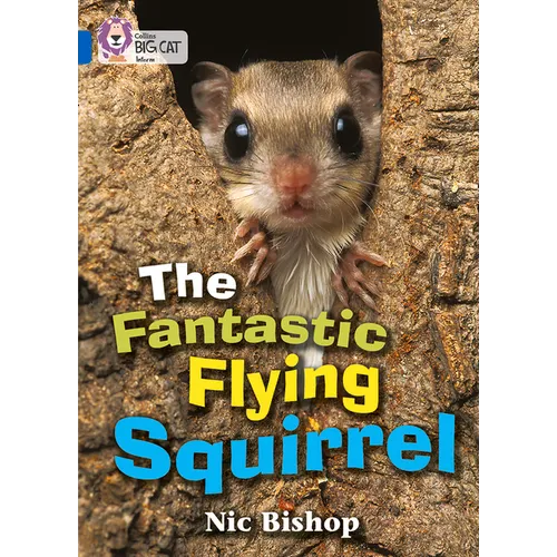 The Fantastic Flying Squirrel: Band 04/Blue