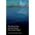 Shooting Stars Are The Flying Fish Of The Night
