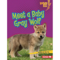 Meet a Baby Gray Wolf