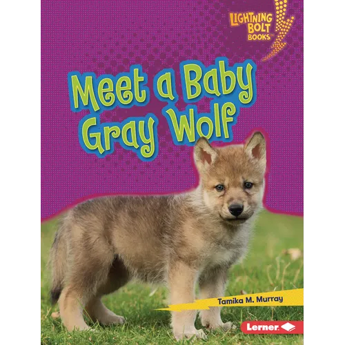 Meet a Baby Gray Wolf
